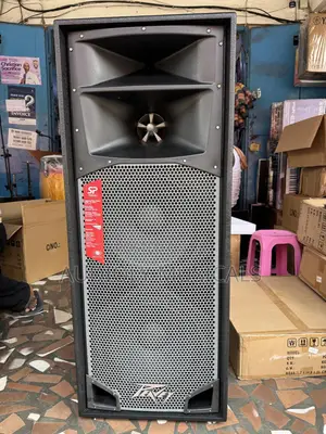 Peavey Spider Mid Speakers