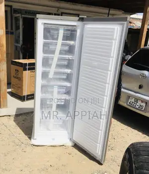 Sleek Design Nasco Upright Standing Freezer.