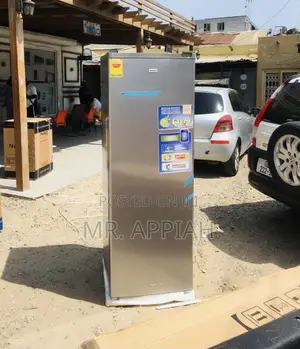 Latest and Affordable Nasco Upright Standing Freezer.