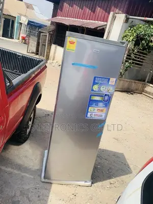Fast Chilling Nasco Grey 242l Standing Freezer Singledoor