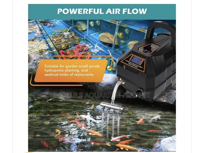 In Built Battery Rechargeable Air Pump