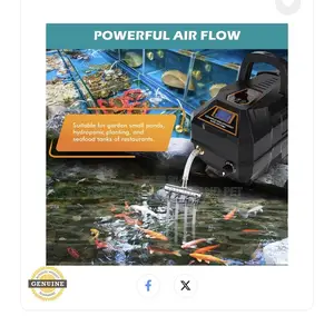 In Built Battery Rechargeable Air Pump