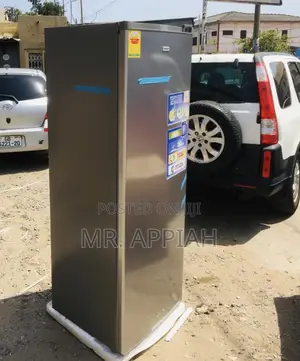 Upright Standing Nasco Freezer(Silver)242ltrs