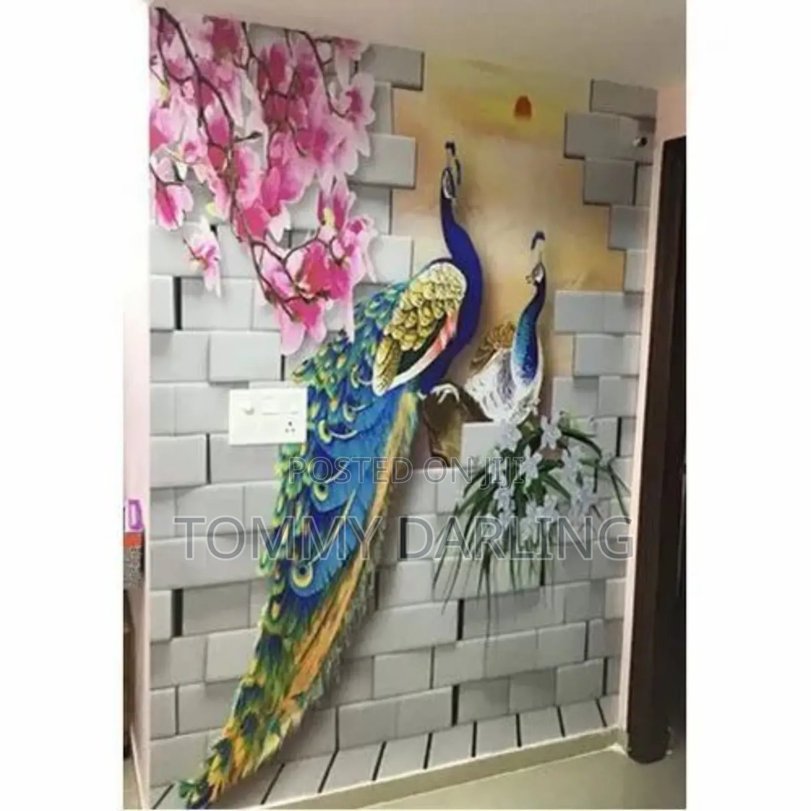 Professional Wall Sticker Installer