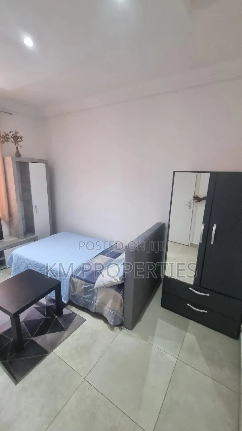 Cozy Single Studio Furnished Airbnb