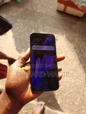 Google Pixel 9 Pro XL 256 GB Gray