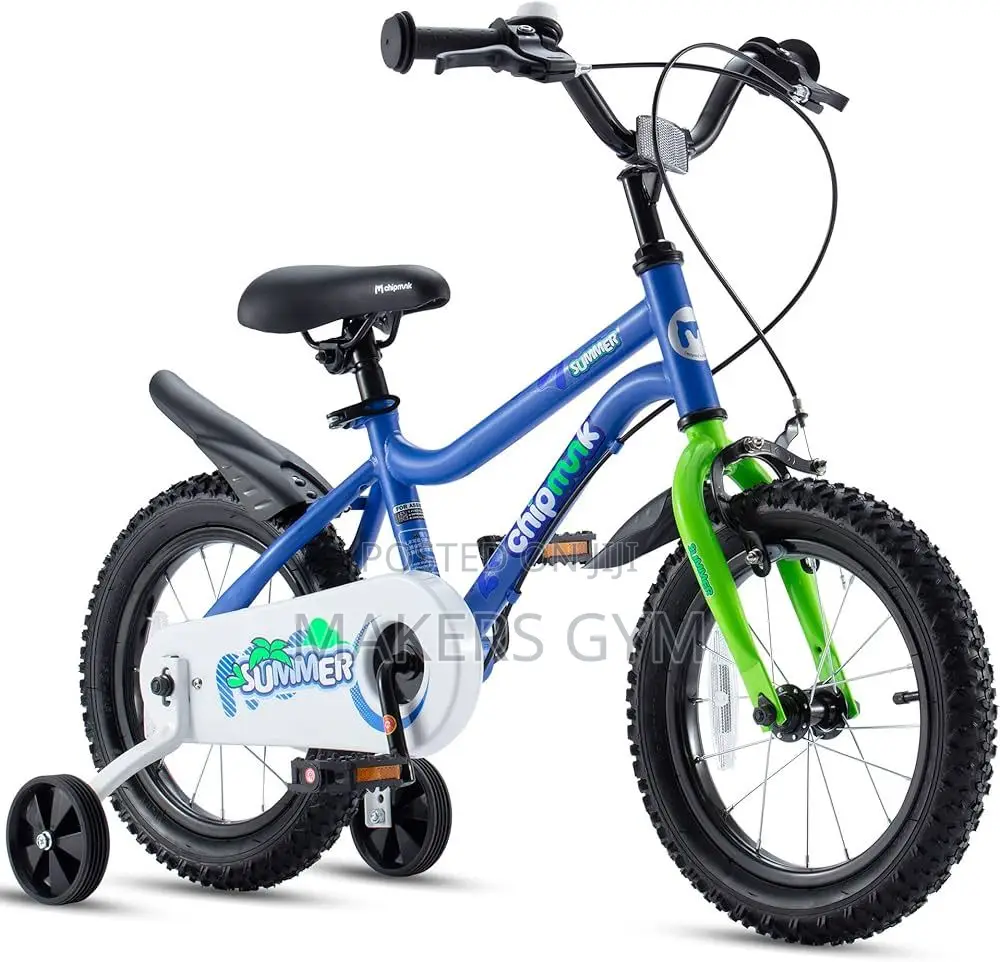 Kids Bicycle (Royalbaby Chipmunk)