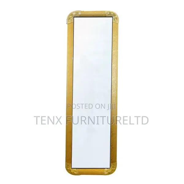 Dressing Mirror Plastic (155 X 45)Cm 116