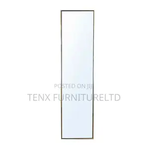 Dressing Mirror Aluminium (145 X 40)Cm