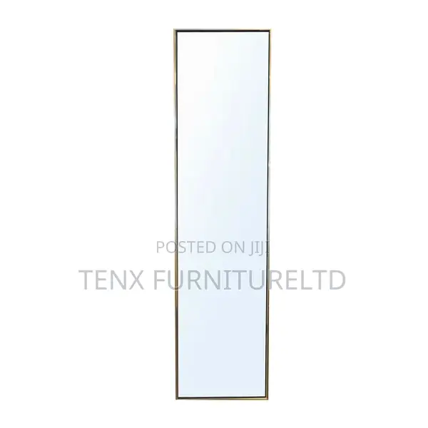 Dressing Mirror Aluminium (145 X 40)Cm
