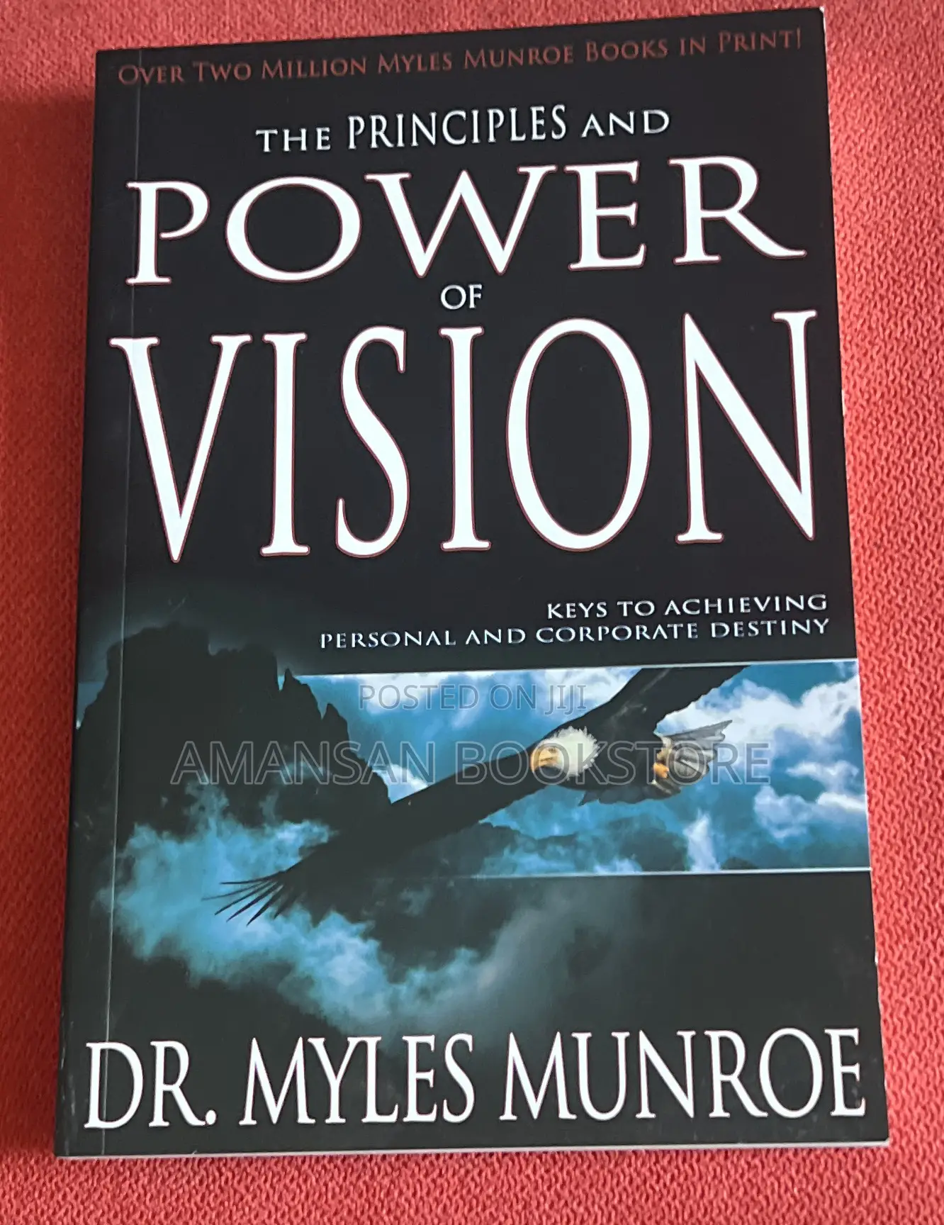 The Principles and Power of Vision