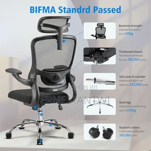 Ergonomic Luxury Mesh Chair From Ximstar, Uk