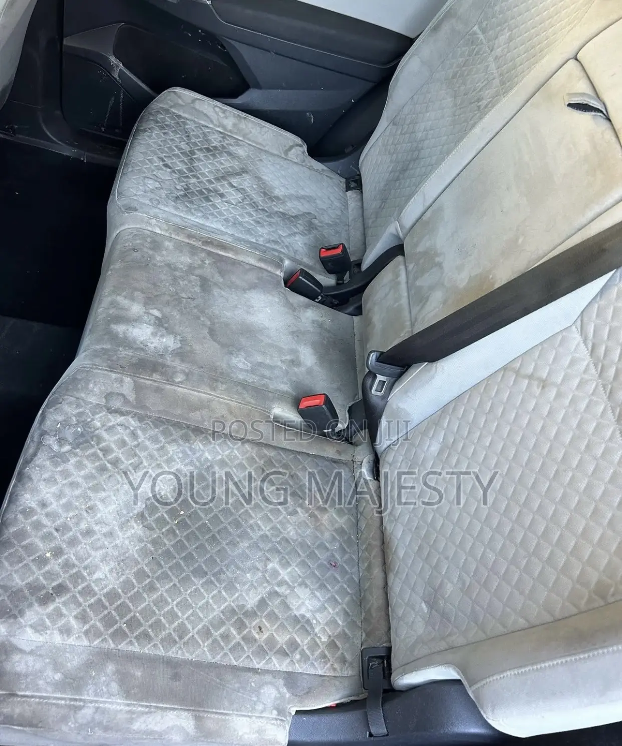 Couch and Bed Cleaning Services