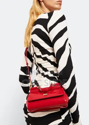 Latest D G Handbag