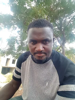 Company Driver ( Cd)