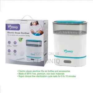 Electric Sterilizer