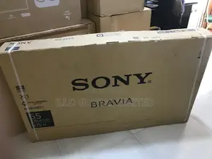 Sony Bravia 55" Immersive Entertainment