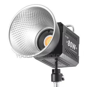 Portable  80w Bi-color Photo Video / Photo Light
