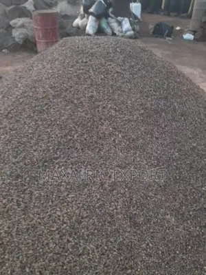 Palm Kernel Shells