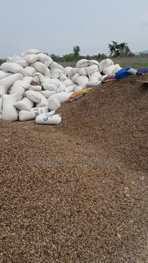 Palm Kernel Shells