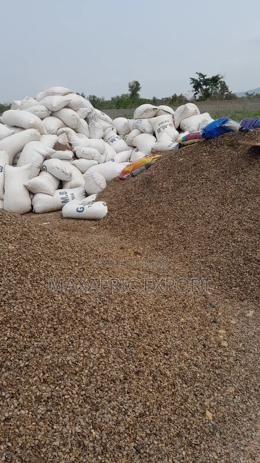 Palm Kernel Shells