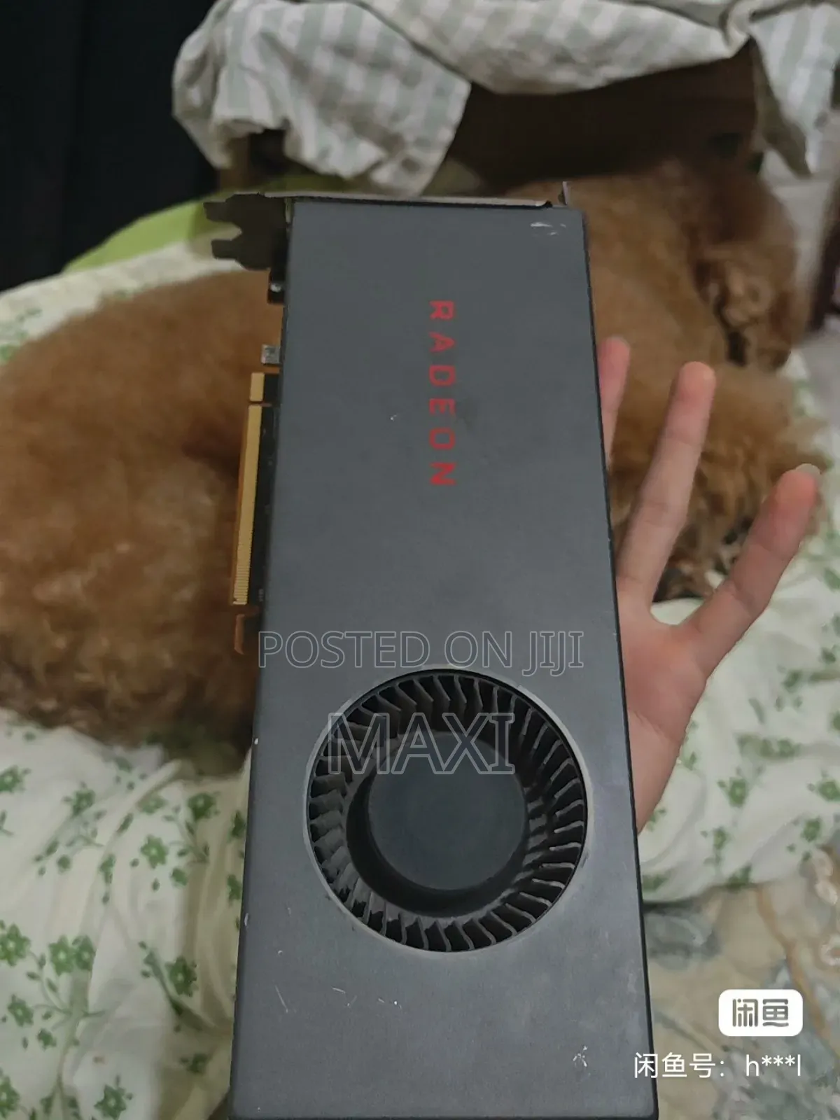 Pre-Order Amd and Nvidia Graphics Card