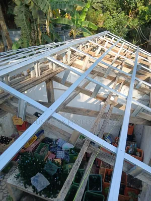Professional Steel Truss Instl.