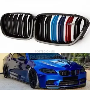 BMW Front Bumper Grill F10,F30,X5,X6