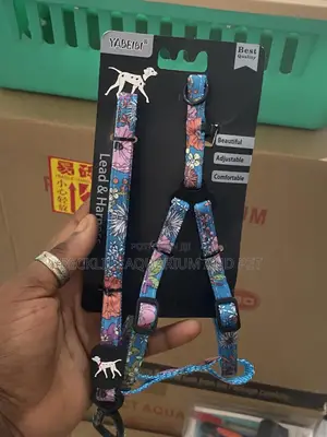 Package Harness With Leash
