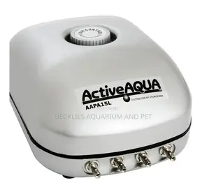 4 Outlet Airpump With Regulator