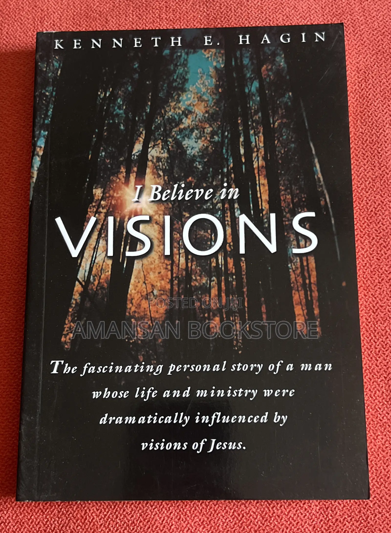 I Believe in Visions