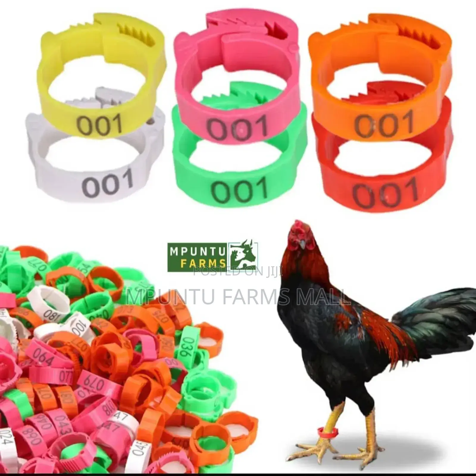 Chicken/Ducks/Geese/Guinea Fowl Tags(Anklet)