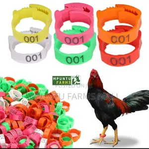 Chicken/Ducks/Geese/Guinea Fowl Tags(Anklet)