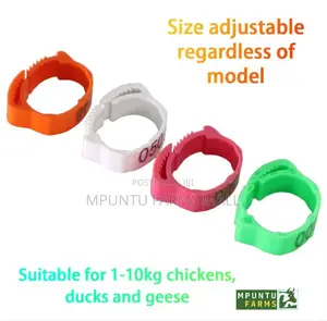 Chicken/Ducks/Geese/Guinea Fowl Tags(Anklet)