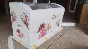 Roch Durable Ice Cream / Showcase Freezer 458 Litres
