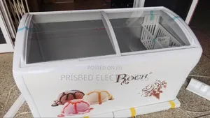 Roch Durable Ice Cream / Showcase Freezer 458 Litres