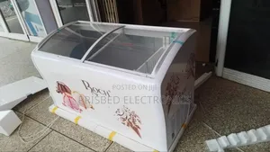 Roch Durable Ice Cream / Showcase Freezer 458 Litres