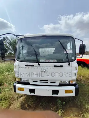 2015 Hyundai Gold Double Axle. New Arrival.