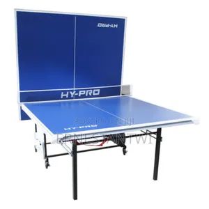 9ft Table Tennis From Activego, Uk