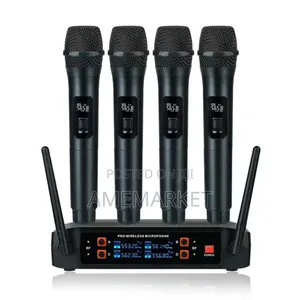 Professional Wireless Microphone for Church Programs Weddings