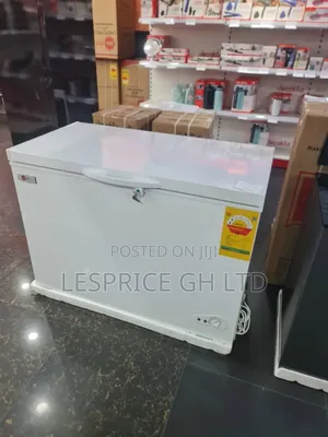 Smart Storage: H a Chest Freezer!