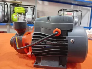 Leo Iron Cast Water Pump 0.5hp Super Strong and Long Lasting