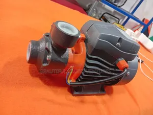 Pout 0.5hp Brand New Leo 0.37kw Water Pump
