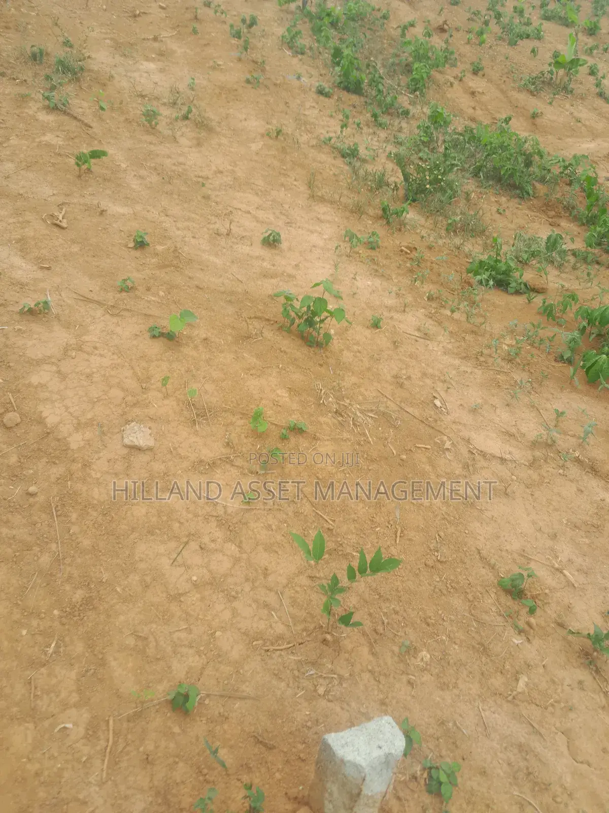 Half Plot Forsale at Adietem-Mpatado