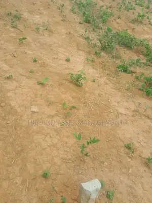 Half Plot Forsale at Adietem-Mpatado