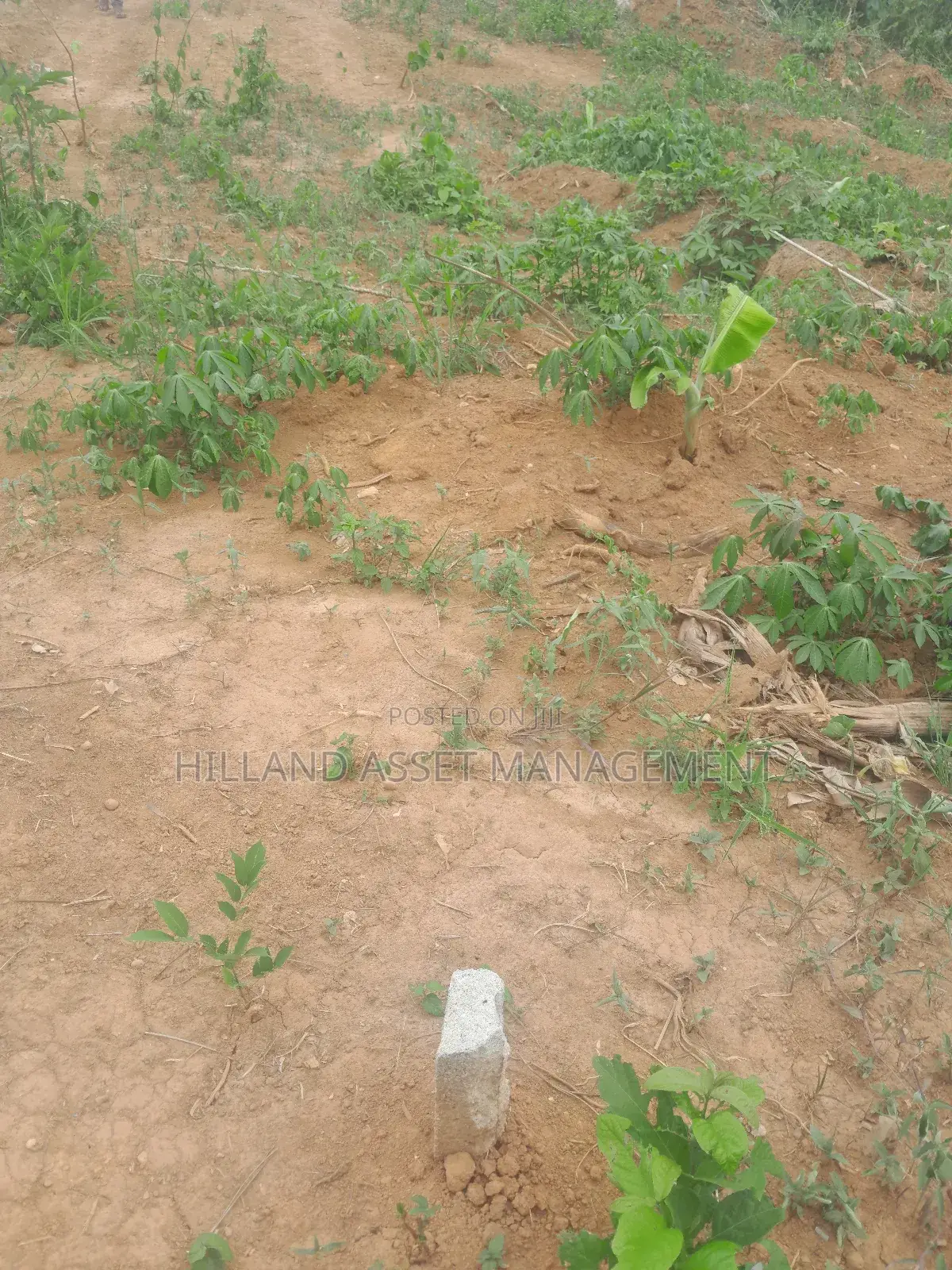 Half Plot Forsale at Adietem-Mpatado