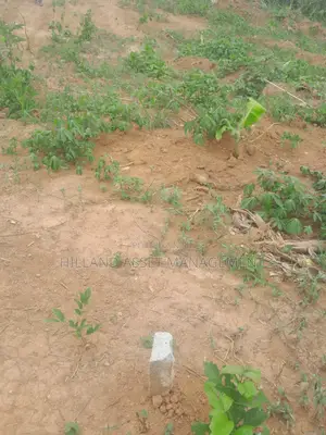 Half Plot Forsale at Adietem-Mpatado