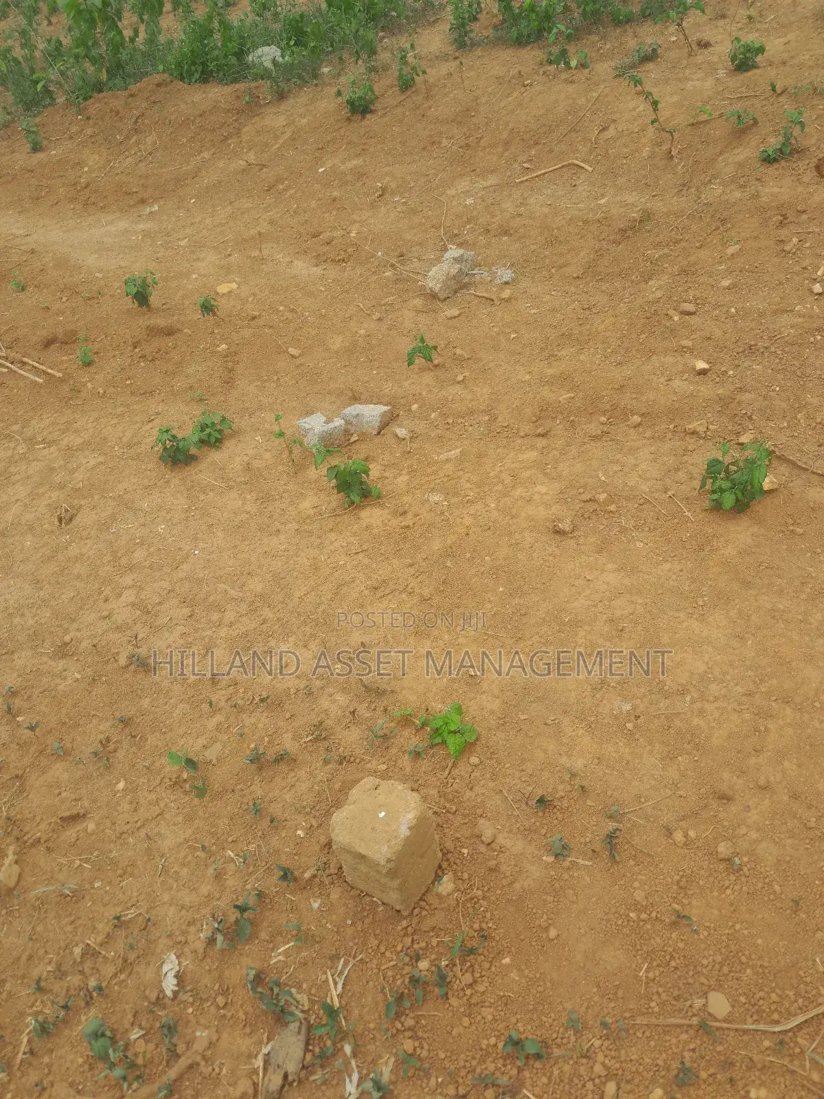 Half Plot Forsale at Adietem-Mpatado