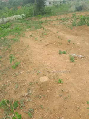Half Plot Forsale at Adietem-Mpatado