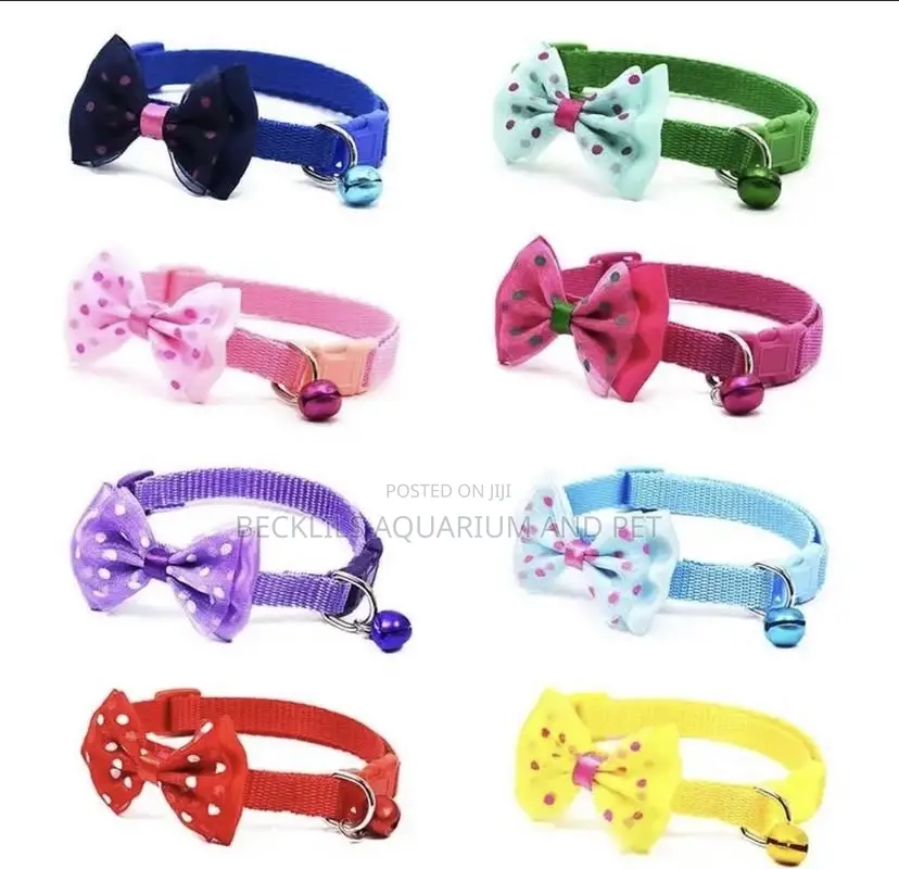 Quality Collars for Small Dogs and Cat